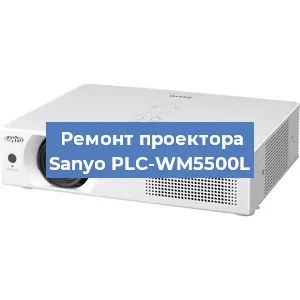 Замена матрицы на проекторе Sanyo PLC-WM5500L в Перми